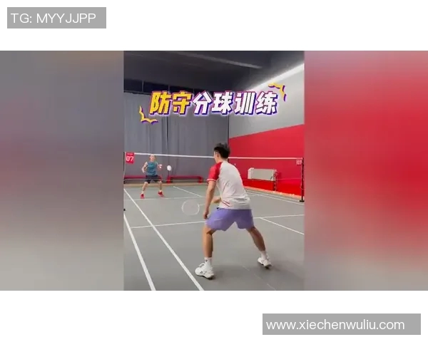北京羽毛球队区域防守战术解析与实战应用探讨